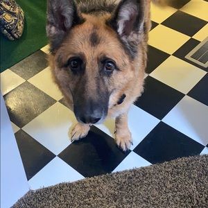 Meet your Posher, Balla